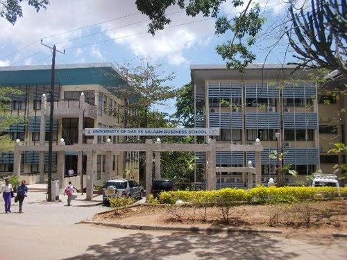 University of Dar Es Salaam Business School