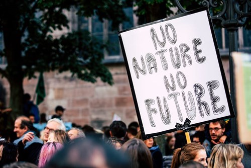 'No Nature, No Future' Poster held up at an Outdoor Protest