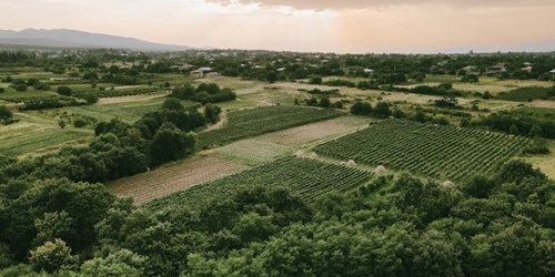 A scenic view of lush green farmland and vineyards surrounded by trees, with a rural village and mountains visible in the background under a partly cloudy sky.