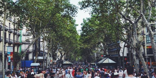 A bustling city street lined with tall, leafy trees is filled with a crowd of people walking and exploring shops and kiosks.